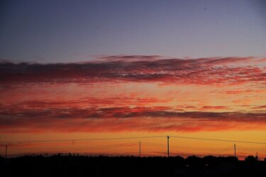 Ανατολή, Τζιγκουνάκης