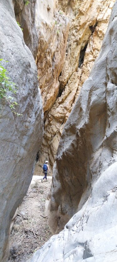 Δρόμοι Ζωής