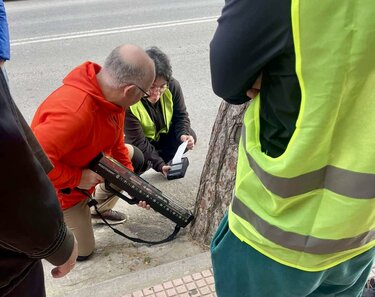 έλεγχοι, δέντρα