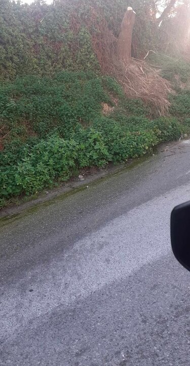 νερά, δρόμος