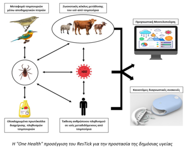 τσιμπουρια - αναλυση 