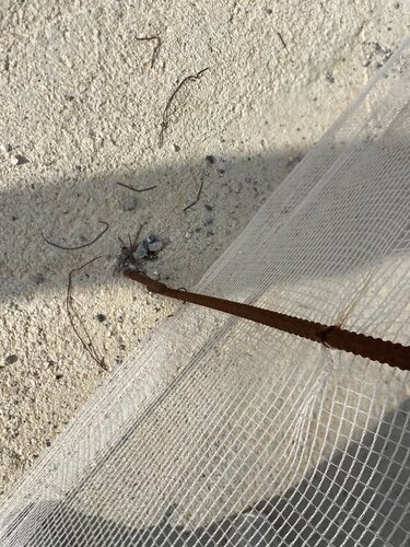 Σίδερα, Νηπιαγωγείο 