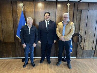 Δήμος Φαιστού, βουλή