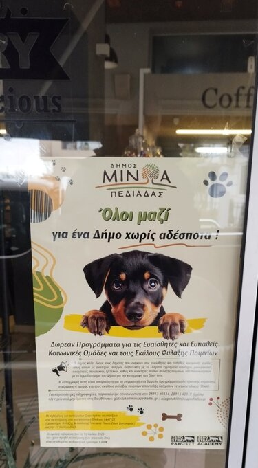 Δήμος Μινώα Πεδιάδας, Αδέσποτα ζώα