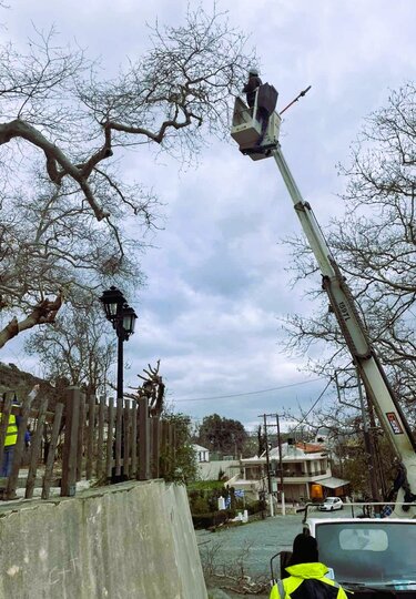 Πλάτανος Κράσι