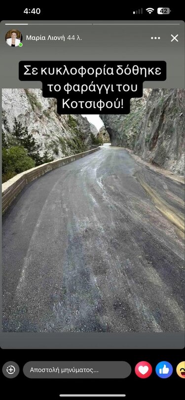 ανάρτηση λιονη φαράγγι κοτσιφού