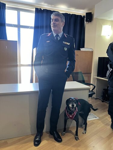 Αστυνομία Ζώων Κρήτη