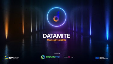 DATAMITE Meetup Event 2025