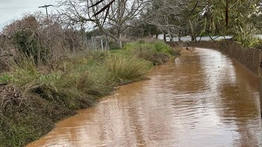 Δήμος Μινώα Πεδιάδας