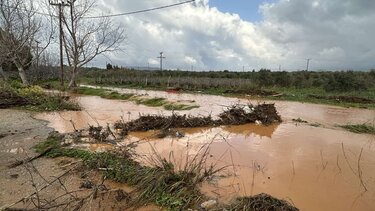 Δήμος Μινώα Πεδιάδας