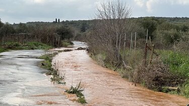Δήμος Μινώα Πεδιάδας