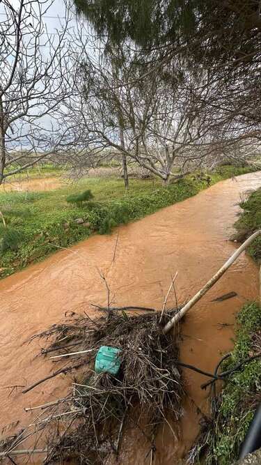 Δήμος Μινώα Πεδιάδας