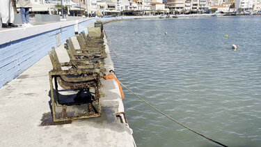 Σητεία καθαρισμός