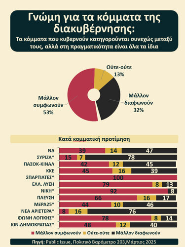 Δημοσκόπηση, Public Issue