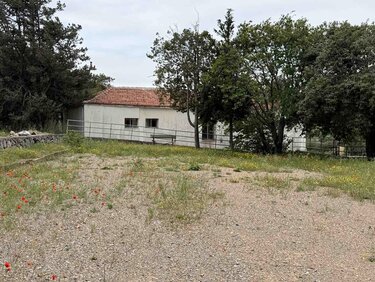 Δήμος Αγίου Νικολάου, Αυτοψίες