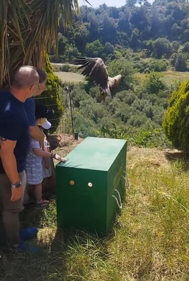 Μουσικό Σχολείο Ρεθύμνου