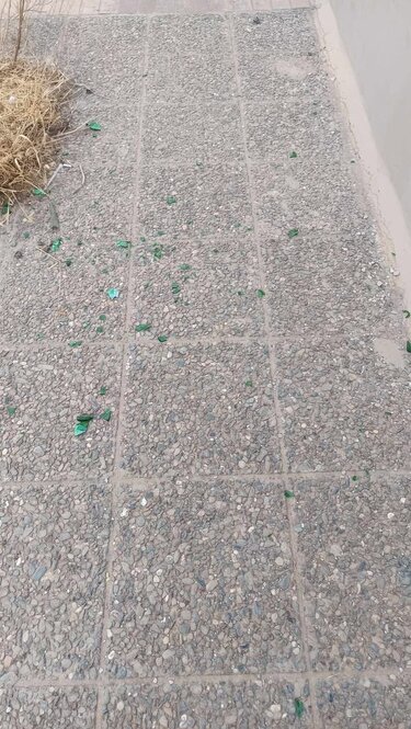 Ένας απέραντος σκουπιδότοπος απέναντι από σχολείο