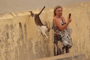 Αφρικανική σκόνη