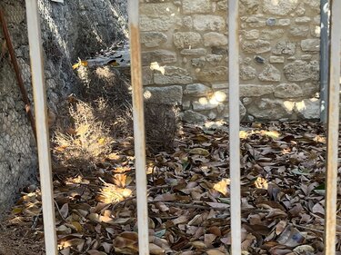 Κνωσός Βασιλικός τάφος σκουπίδια