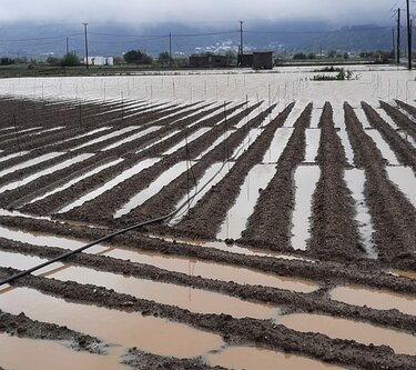 Πλημμύρες, Δήμος Οροπεδίου Λασιθίου