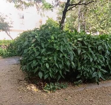 Πάρκο, Καμίνια, Ηράκλειο