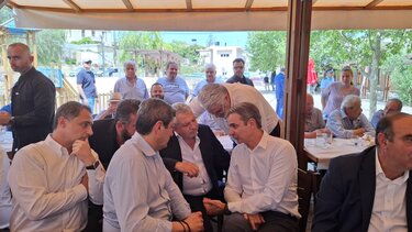 Μητσοτάκης Πεζά