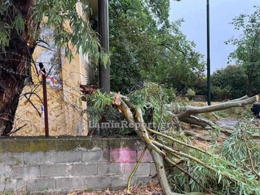  Λαμία: Μπουρίνι έριξε δέντρα, πλημμύρισε σπίτια και άφησε χωρίς ρεύμα τη νότια πλευρά της πόλης