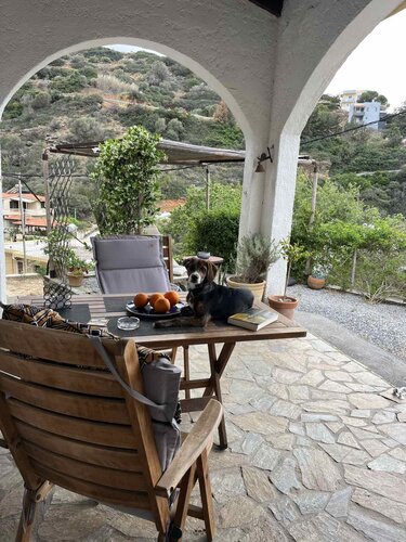 Σκυλος Ψιχουλίνος