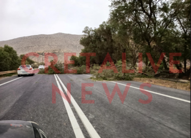 ΒΟΑΚ δέντρα 