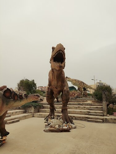 Μουσείο Φυσικής Ιστορίας