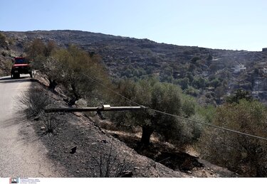 Τεμένια, Φωτιά