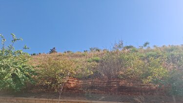 enetika teixi xera xorta.4