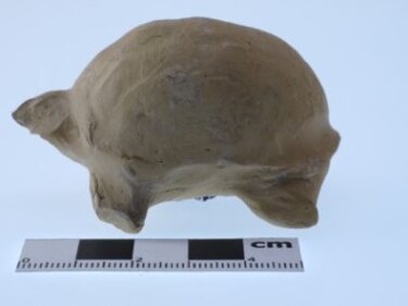 αρχαία Φαλάσαρνα