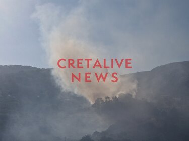 Πρόλαβαν κι "έπιασαν" τη φωτιά στην Τύλισσο (φωτογραφίες)