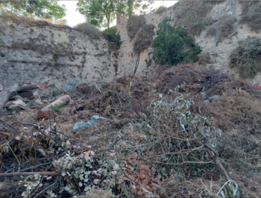 Μαρτινέγκο κλαδιά