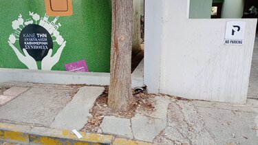 Οδός Λευκωσίας, Πεζοδρόμια