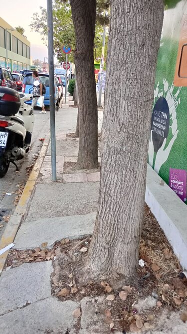 Οδός Λευκωσίας, Πεζοδρόμια