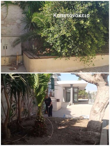 Πράσινο σχολεία Ηρακλειο