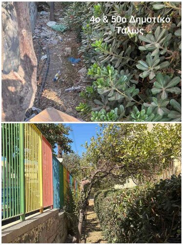 Πράσινο σχολεία Ηρακλειο