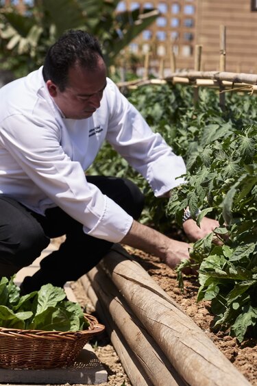  Metaxa Hospitality Group