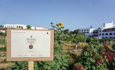  Metaxa Hospitality Group