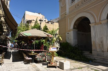 Πτώση δέντρου