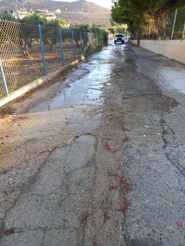 ΚΟΚΚΙΝΙ ΧΑΝΙ