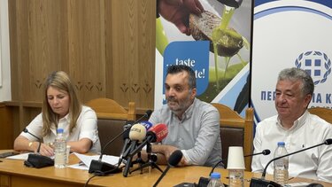 Ελαιόλαδο, Περιφέρεια Κρήτης 