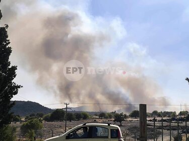 λέσβος φωτιά