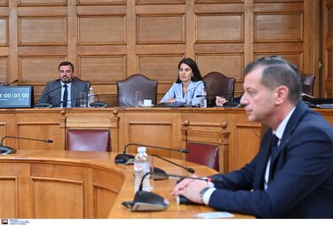 ΟΠΕΚΕΠΕ, Γιάννης Καββαθάς