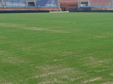 Παγκρήτιο, γκαζόν