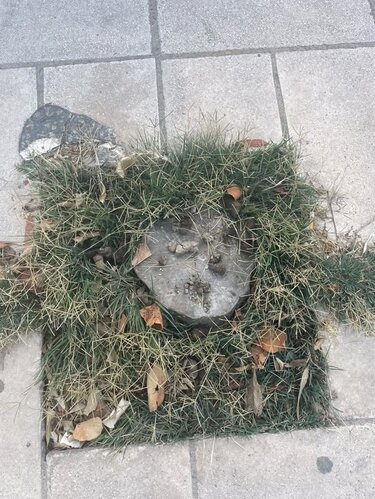 Γεωργιάδη, Σκουπίδια