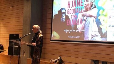 Τζέην Γκούντολ Ηράκλειο