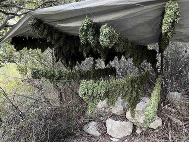 Ηράκλειο κανναβη